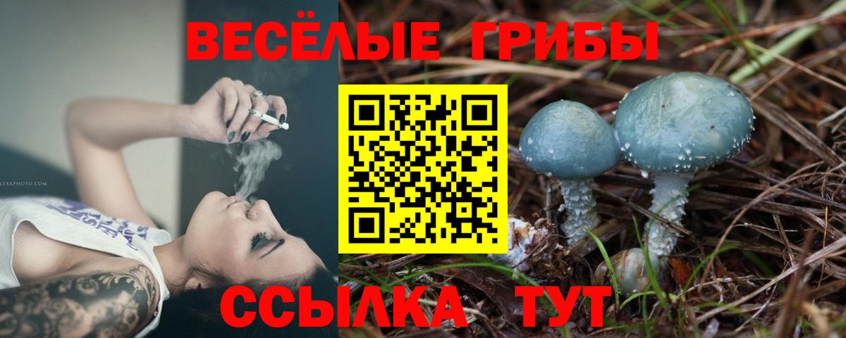 Алушта  Псилоцибиновые грибы Magic Shrooms  Вход с VPN 