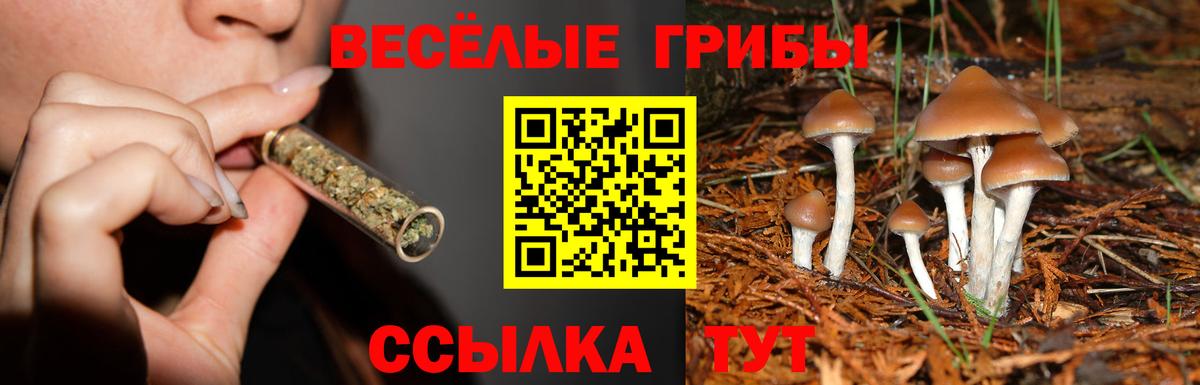 Мефедрон Алушта